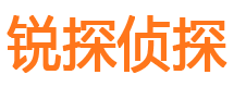 江孜侦探调查公司